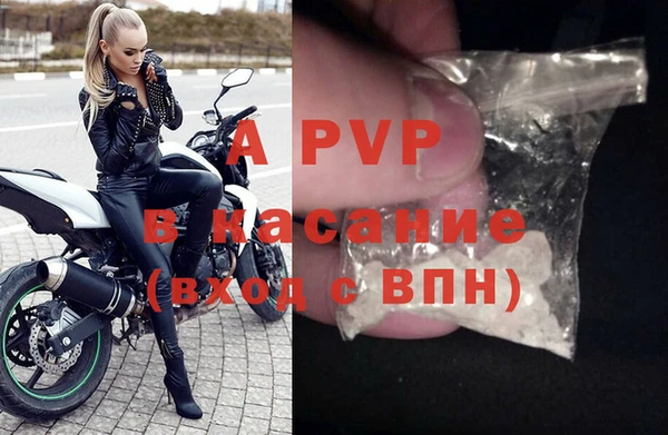 хмурый Пестово