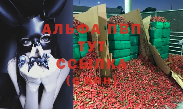 хмурый Пестово