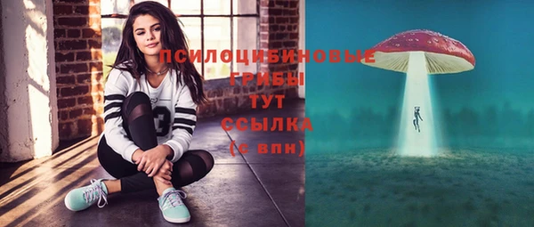 хмурый Нягань